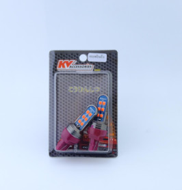 T20 2 จุด กระพริบ 12 LED 3030