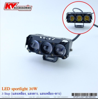 LED Spotlight 30W